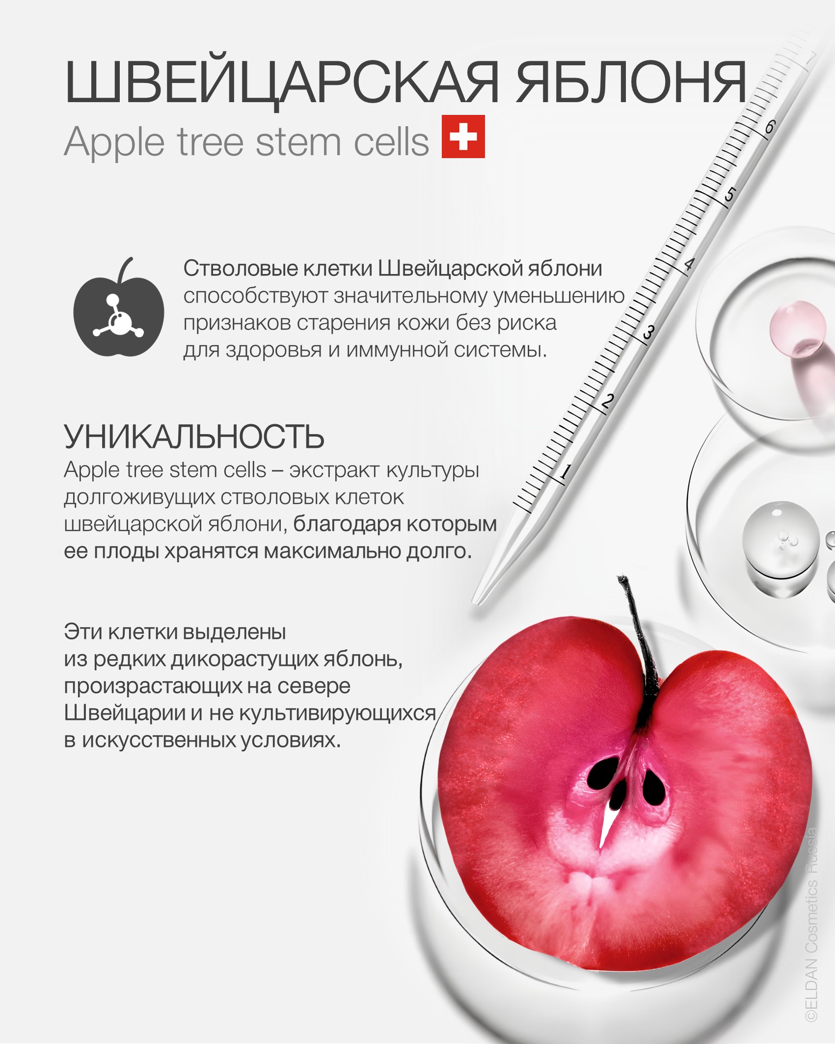 Пост стволовые клетки 2025 3.jpg Пост стволовые клетки 2025 3.jpg